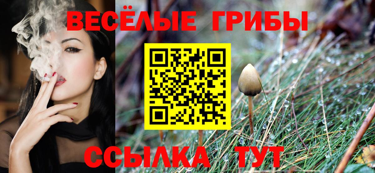 Псилоцибиновые грибы прущие грибы  Вход с VPN  Ревда 